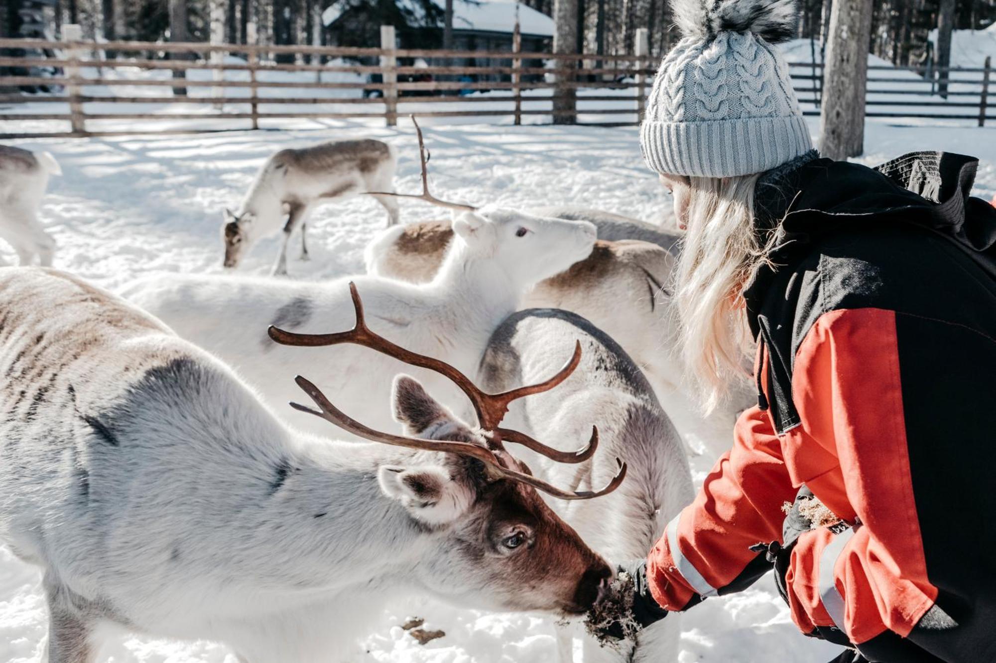 Lapland Hotels Hetta Энонтекиё Экстерьер фото